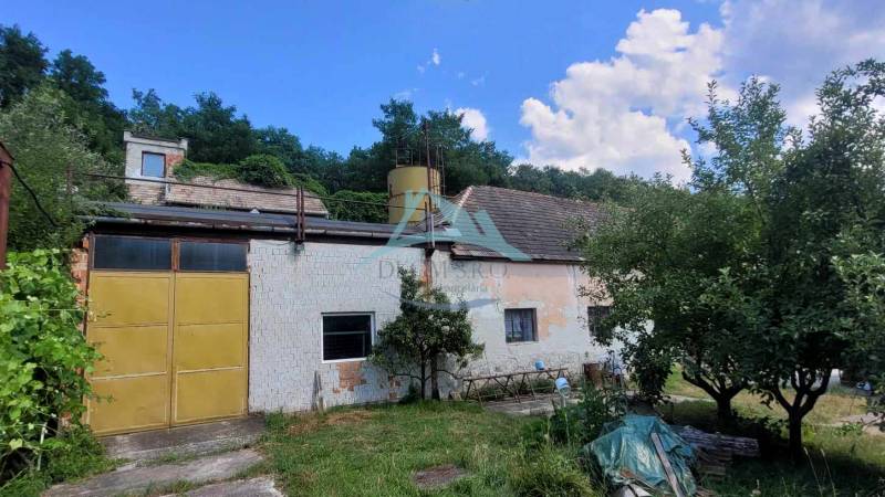 Rozsiahly pozemok (10 000m2)  priamo vo Veľkom Krtíši! - Na ulici A.H. Škultétyho zobrazený starší dom a záhrada. Pozemky - bývanie.