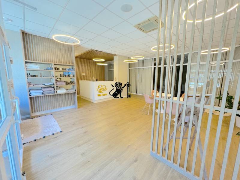 Postúpenie zabehnutej zdravotníckej prevádzky - Tomašíkova ul., BA II - Priestory centra s drevenou podlahou, stropnými svietidlami a dekoratívnymi prvkami.