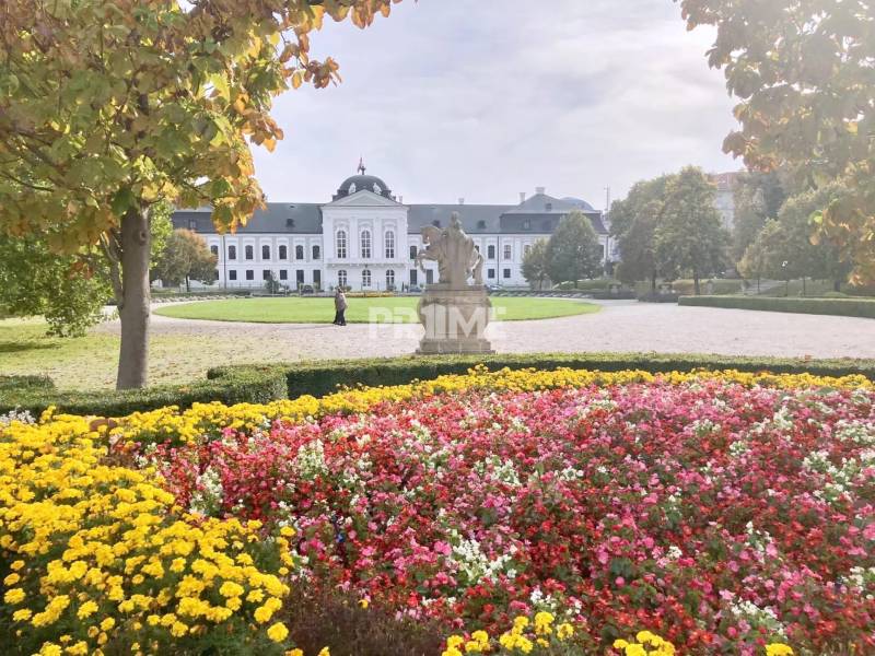 LUXUSNÝ 2i byt, KESSELBAUER, KLÍMA, LOGGIA, PARKING, Námestie 1.mája - Krásny park s pestrofarebnými kvetmi a historickou budovou na ulici Námestie 1.mája.