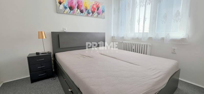 PRIESTRANNÝ 2i byt, BLUMENTÁL, LOGGIA, Wilsonova ulica, Staré Mesto - Spálňa v 2-izbovom byte so sivou posteľou, obrazom a nočným stolíkom.