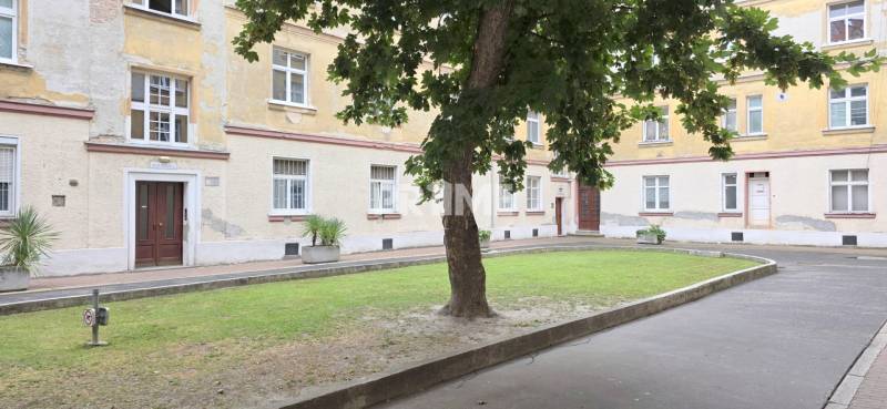 Pekný 2i byt, REKONŠTRUKCIA, Vajanského nábrežie, Staré Mesto - Dvorný priestor s trávnikom a stromom pri bytovom dome na Vajanského nábreží, Bratislava - Staré Mesto.