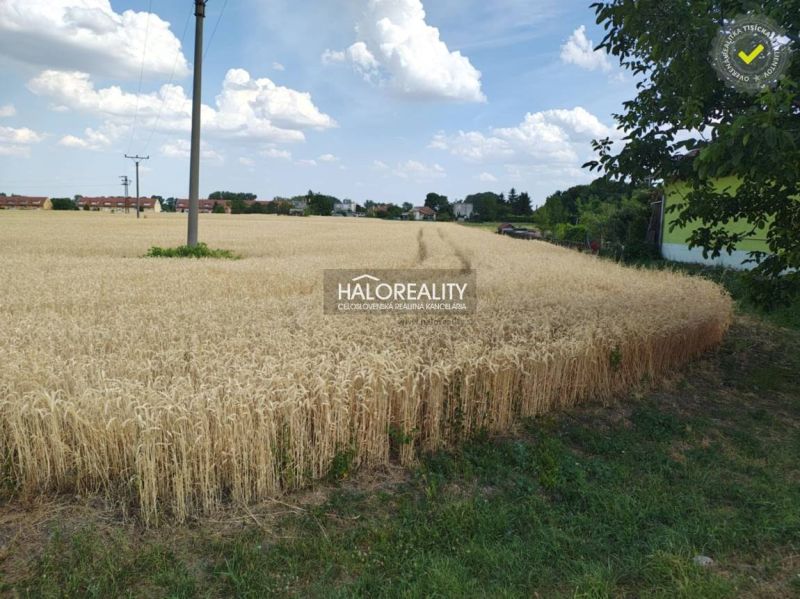 Predaj, pozemok pre rodinný dom 2605 m2 Kútniky, H...