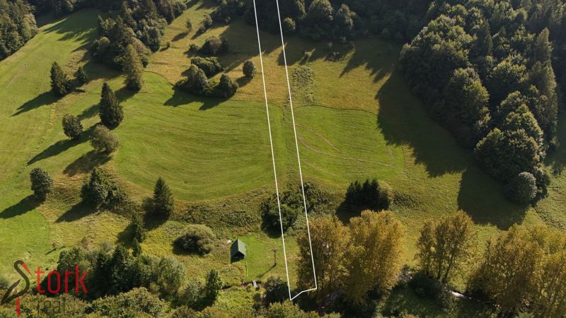 Na predaj - trvalý trávny porast - Rajecká Lesná