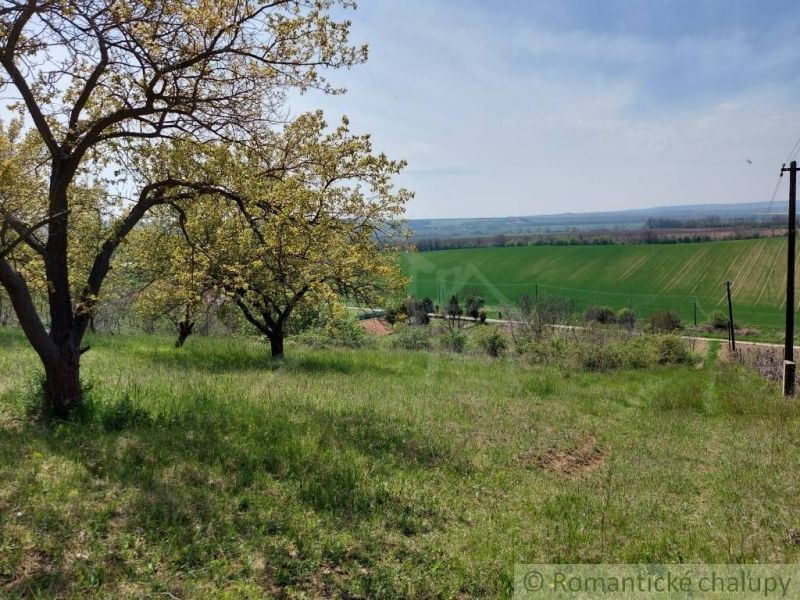 Rozľahlý pozemok na samote vhodný na stavbu blízko vinárskej dedinky N