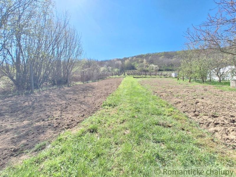 Rozľahlý 4500 m2 pozemok na hospodárenie s vínnym domom v obci Nána bl