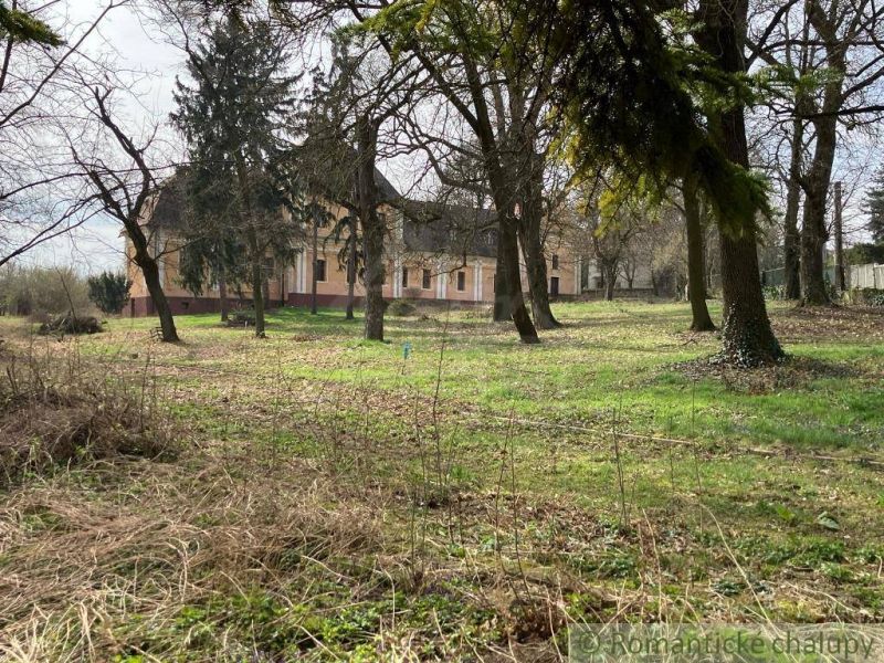 Rekonštruovaný barokový kaštieľ s kaplnkou a rozsiahlym parkom v Trávn - Starobylá budova ukrytá medzi stromami Zvláštnych nehnuteľností v Nových Zámkoch.