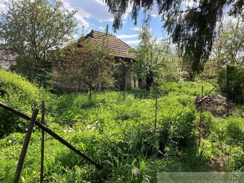 Veľký pozemok so starším rodinným domom v obci Martovce - Starší dom obklopený záhradou v Martovciach, vhodný pre Pozemky - bývanie.