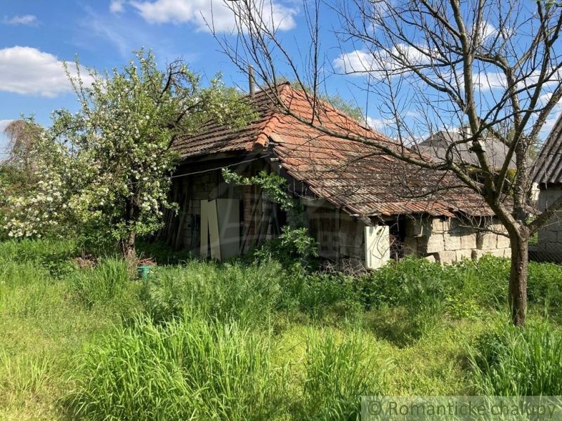 Veľký pozemok so starším rodinným domom v obci Martovce - Zarastený pozemok, starší dom v Martovciach vhodný na bývanie.