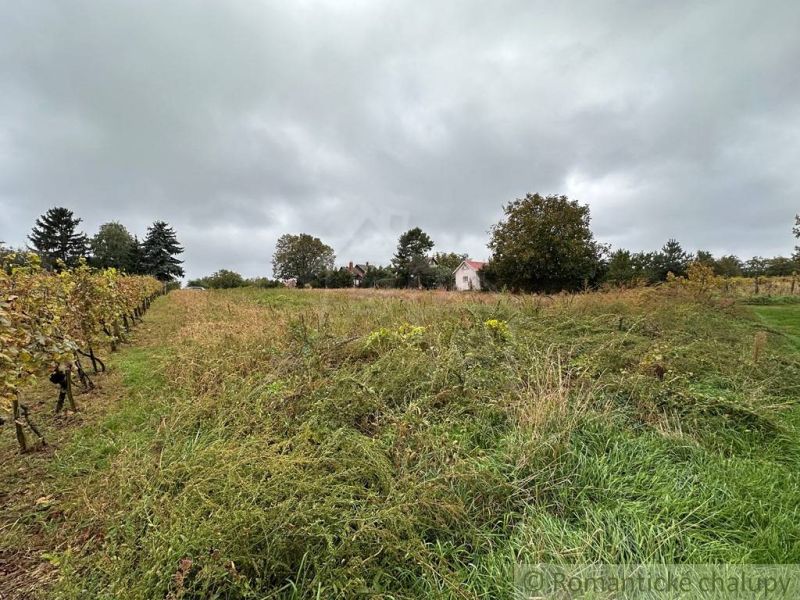 Priestranný pozemok o výmere 1666 m2 vo vinohradníckej oblasti v obci