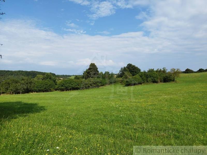 Veľký, vyše 4,5Ha slnečný pozemok s chalupou v strede, na lazoch, pri  - Zelená lúka s roztrúsenými stromami a kríkmi v okolí Hrušova.