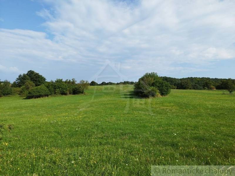 Veľký, vyše 4,5Ha slnečný pozemok s chalupou v strede, na lazoch, pri  - Zelená lúka s kríkmi a modrou oblohou v okolí Hrušova.