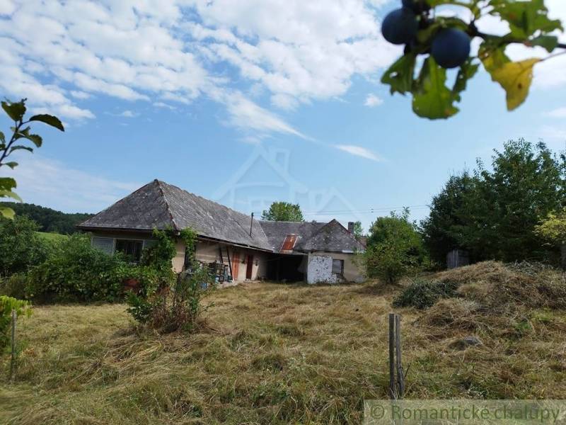 Veľký, vyše 4,5Ha slnečný pozemok s chalupou v strede, na lazoch, pri  - Chata v Hrušove, obklopená lúkou, ovocné stromy a zvýraznené slivky.