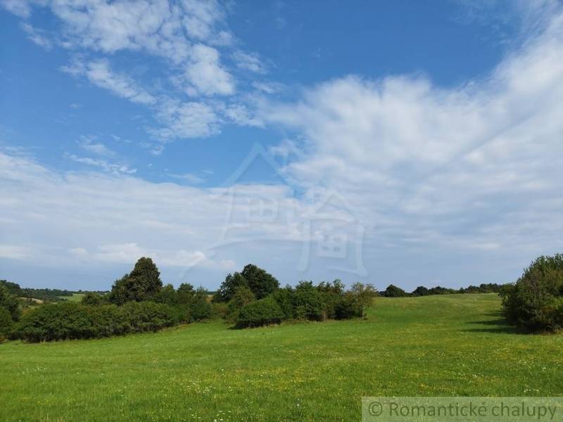 Veľký, vyše 4,5Ha slnečný pozemok s chalupou v strede, na lazoch, pri  - Zelená lúka v Hrušove obklopená stromami, modrá obloha s bielymi oblakmi.