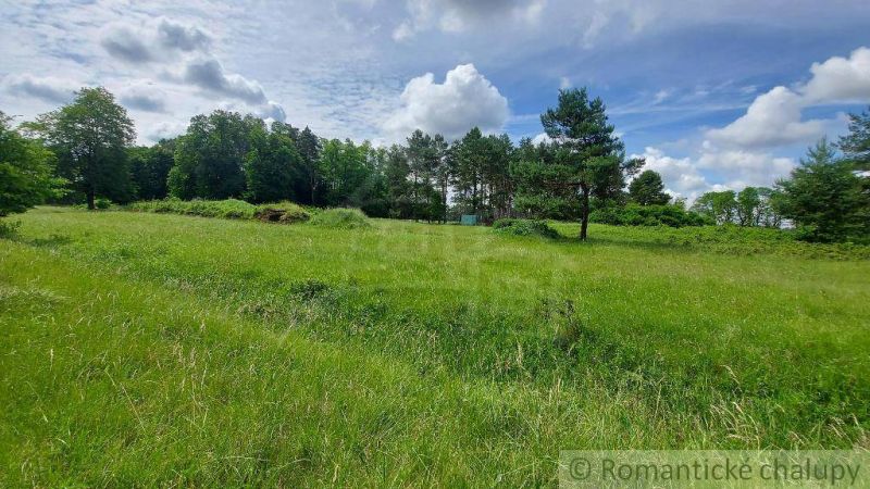 Lesný pozemok 37 000 m2 - 3, 7 ha v obci Borský Mikuláš, 60 km od BA na
