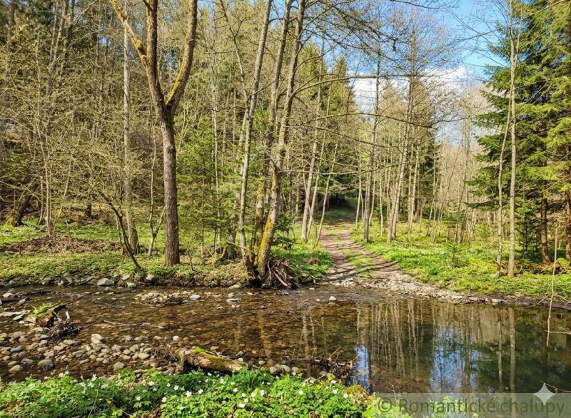 Pozemok pri potoku v lese, Nízke Tatry