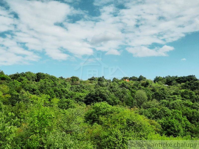 Pozemok 1 776 m² vo viničnej oblasti obce Hronský Beňadik