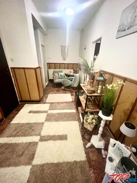 Rodinný dom s veľkým pozemkom - Turňa nad Bodvou - Chodba v rodinnom dome s dekoratívnymi rastlinami, miestom na sedenie a výrazným kobercom.