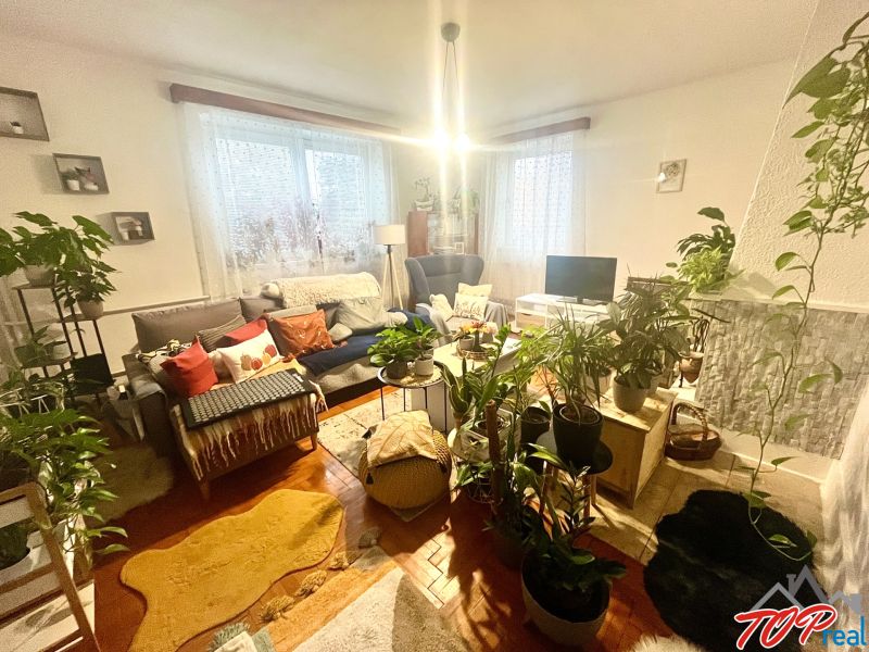 Rodinný dom s veľkým pozemkom - Turňa nad Bodvou - Obývačka s pohodlnou pohovkou, množstvom rastlín a podlahou s dreveným dekorom.