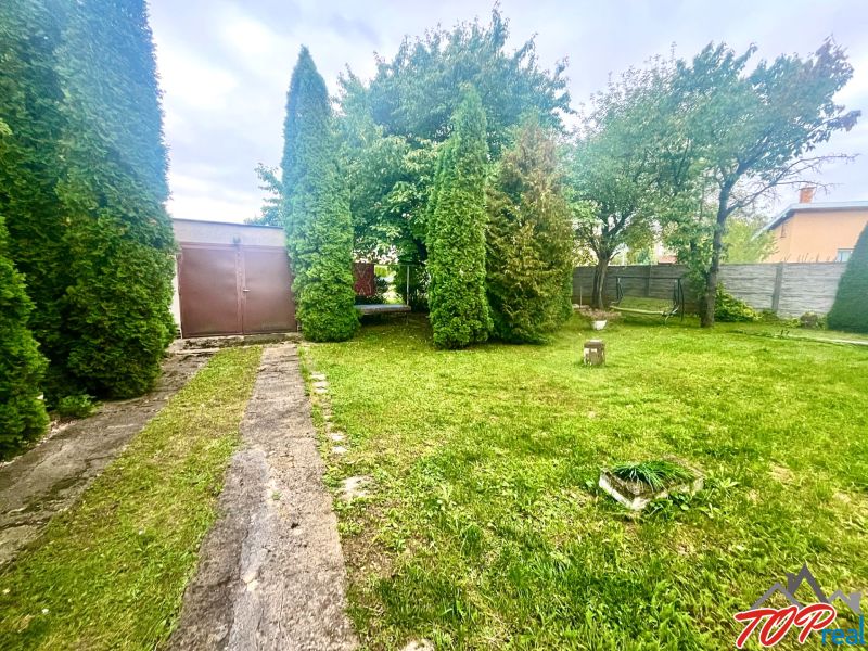 Rodinný dom s veľkým pozemkom - Turňa nad Bodvou - Záhrada rodinného domu v Turni nad Bodvou s udržiavaným trávnikom a ihličnanmi.