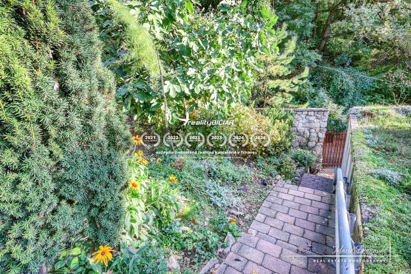 Rekreačná chata s úžasným výhľadom v prestížnej lokalite Devín - Chodník v záhrade rodinného domu obklopený kvetmi a zeleňou.