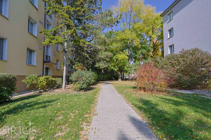 SEČOVSKÁ, 2-i tehlový byt, 56 m2, orientácia V a Z - OBKLOPENÝ ZELEŇOU - Chodník medzi bytovkami na Sečovskej ulici v Bratislave - Ružinove, obklopený zeleňou.