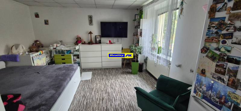 REZERVOVANÉ jednoizbový zrekonštruovaný byt v širšom centre mesta - Izba v 1-izbovom byte s televíziou, regálmi, rastlinami a podlahou s dreveným dekorom.