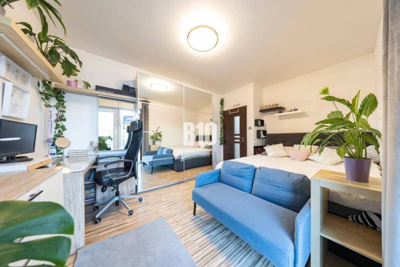 Tri Vody - 4-izbový rodinný dom s bazénom | Most pri Bratislave – Baza - Rodinný dom ponúka podlahu s dreveným dekorom, modrú pohovku a pracovný kút.