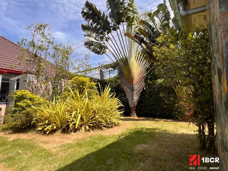 ÚTULNÁ 3 SPÁLŇOVÁ VILA S BAZÉNOM - EAST PATTAYA - Záhrada vily v Pattayi so zeleným trávnikom a exotickými rastlinami.