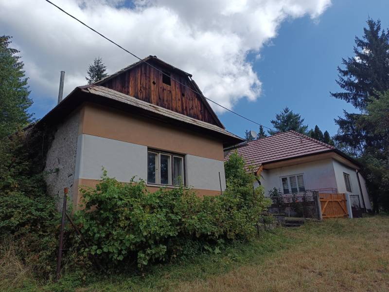 Hospodárska usadlosť s 3,6 hektárovým pozemkom na samote Nová Baňa - Starší rodinný dom so sedlovou strechou, obklopený zeleňou a lúkou, na predaj.