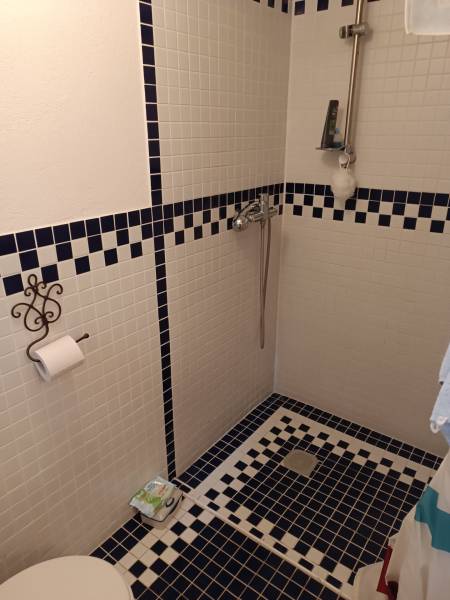 Hospodárska usadlosť s 3,6 hektárovým pozemkom na samote Nová Baňa - Sprchovací kút v kúpeľni rodinného domu s dlaždicovou mozaikou v modrobielej farbe.