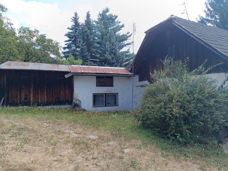 Hospodárska usadlosť s 3,6 hektárovým pozemkom na samote Nová Baňa - Rodinný dom obklopený zeleňou a stromami, s drevenými prvkami a kludným pozadím.