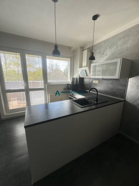 Stavbárska ulica,2-garsónka na prenájom - Kuchyňa v dvojgarsónke so sivými stenami, oknami a kuchynskou linkou.