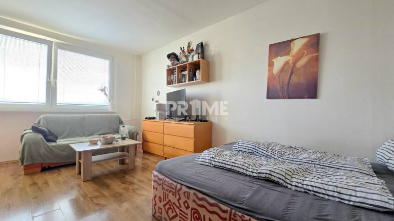 Príjemný 1i byt, zariadený, pivnica, Drobného ul., Dúbravka - Izba 1-izbového bytu s posteľou, gaučom a podlahou s dreveným dekorom.