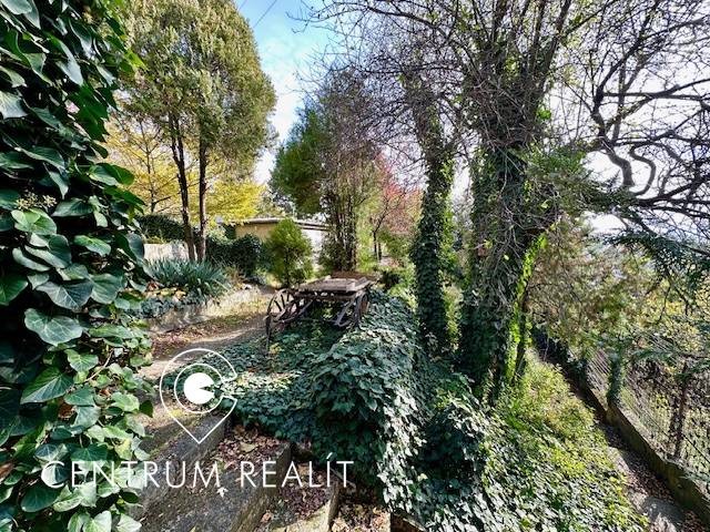 Záhrada s chatou s čarovným výhľadom, BA – Karlova Ves - Záhrada s bujnou vegetáciou a starým vozom v Bratislave - Karlovej Vsi, Hany Meličkovej. Pozemky - bývanie.