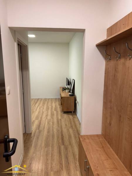 Predaj : 1 izbový byt v meste Čadca časť Žarec  (336-B) - Chodba s vešiakovou stenou a vstupom do obývačky, 1-izbový byt.