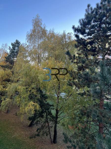 REZERVOVANÝ! Na predaj 2izbový byt v meste Senica - Zeleň na ulici Hviezdoslavova v Senici obklopuje 2-izbový byt, prírodná atmosféra.