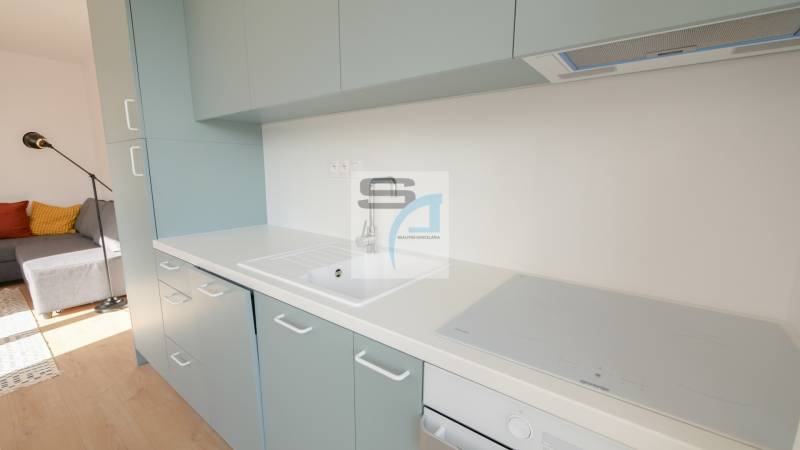 2-izbový byt s terasou 15 m² a parkovaním v tichej časti Bratislavy - Kuchyňa v 2-izbovom byte s umývadlom, indukčnou doskou a podlahou s dreveným dekorom.