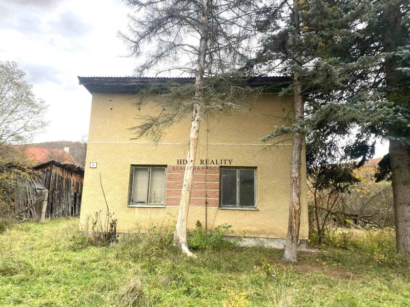 HD reality ponúka, predaj, rodinný dom Rykynčice  - Rodinný dom v Rykynčiciach, obklopený stromami so svahovým pozemkom a drevenou prístavbou.