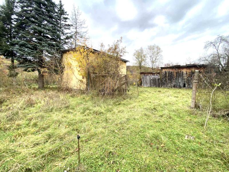 HD reality ponúka, predaj, rodinný dom Rykynčice  - Rodinný dom v Rykynčiciach, obklopený prírodou, vedľa drevených konštrukcií a stromov.