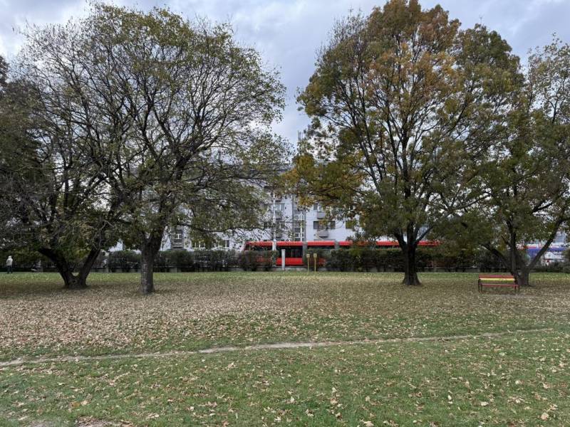 Novinka: Priestranný svetlý byt s balkónmi pri Kuchajde. Vajnorská - Park s lavičkou a stromami v Bratislave - Novom Meste, Vajnorská ulica, pred 3-izbovým bytom.