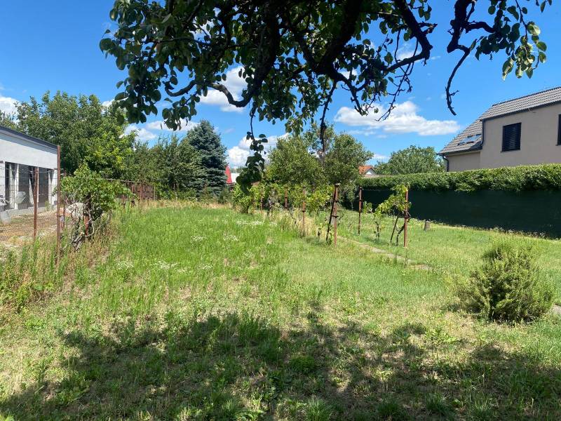 ViNi real - Prestížny pozemok pre dvojdom, Podunajské Biskupice  - Záhrada s trávnikom a viničom v Bratislave - Podunajských Biskupiciach, ideálna pre pozemky - bývanie.