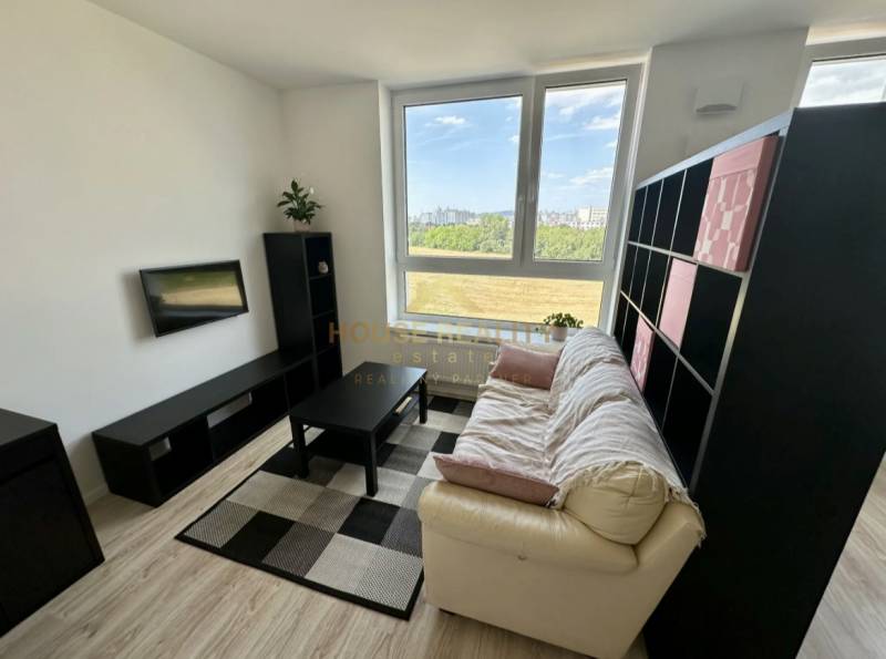 Nový 2 izbový byt SLNEČNICE, Labutia ulica, Bratislava V. Petržalka - Obývacia izba v 2-izbovom byte s pohovkou, televízorom a podlahou s dreveným dekorom.