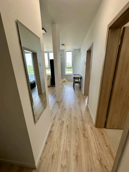 Nový 2 izbový byt SLNEČNICE, Labutia ulica, Bratislava V. Petržalka - Chodba v 2-izbovom byte s podlahou s dreveným dekorom, svetlou farbou a nástenným zrkadlom.