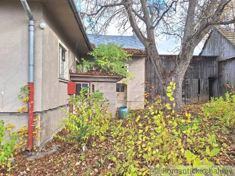 Dom v pôvodnom stave na krásnom pozemku (2130m2) v malej dedinke na Li - Na dvore rodinného domu v Liptovských Beharovciach vidieť stromy a drevené stavby.