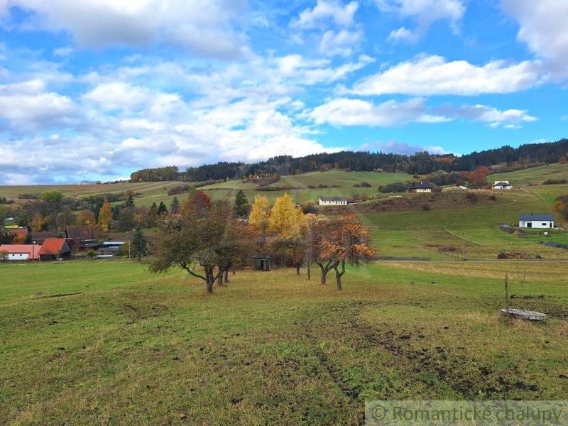 Dom v pôvodnom stave na krásnom pozemku (2130m2) v malej dedinke na Li - Krajina v Liptovských Beharovciach s ovocnými stromami a rodinnými domami v pozadí.