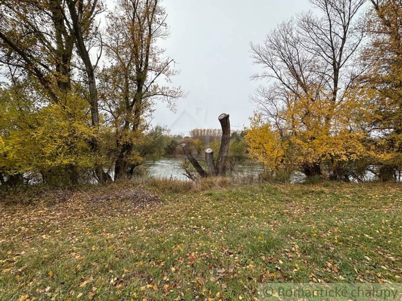 Malá chalúpka pod hrádzou – Zemné - Jesenná krajina v meste Zemné s riekou a holými stromami.