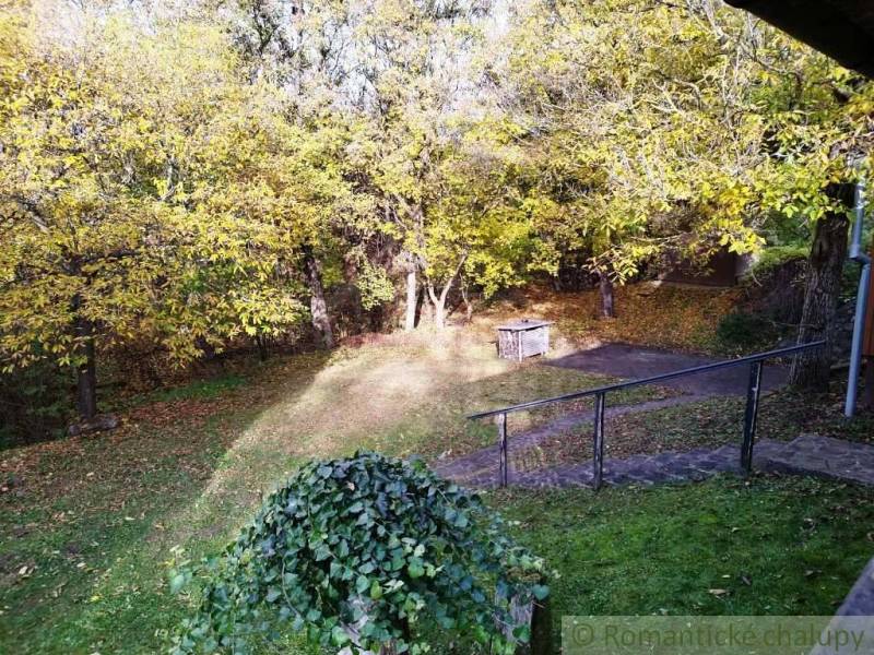 Chata nad kúpeľmi Dudince s vlastným pozemkom - Záhrada pri chate v Dudinciach s jesennými stromami a trávnikom.