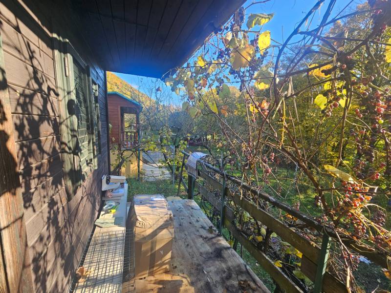 Oddych v srdci prírody - záhrada s chatkou v kúpeľnom meste - Chata v lokalite Sady pod Dedovcom v Trenčianskych Tepliciach, obklopená vinicou a zeleňou.