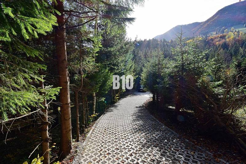 LUKRATÍVNA CHATA - NOVOSTAVBA - SRDCE VRÁTNEJ DOLINY - Lesná cesta obklopená stromami v Terchovej, vedie ku chate v horskom prostredí.