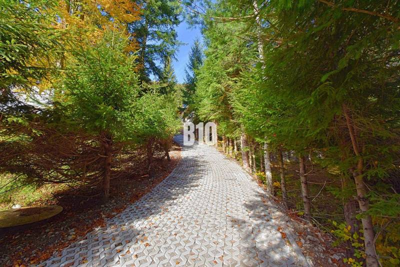 LUKRATÍVNA CHATA - NOVOSTAVBA - SRDCE VRÁTNEJ DOLINY - Lesná cesta vedúca k chate v Terchovej, lemovaná hustými ihličnatými stromami.